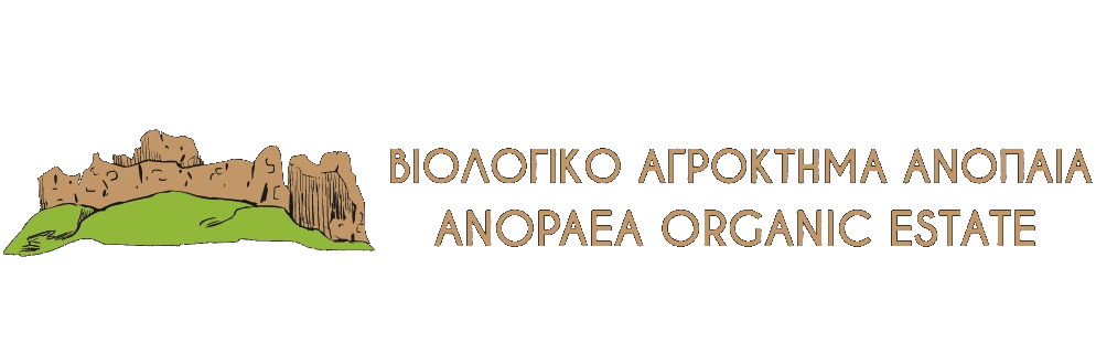 IMG-LOGO